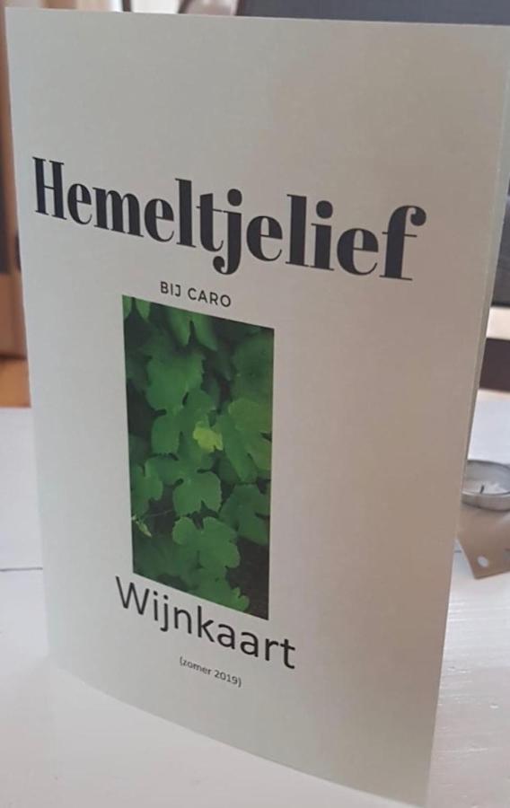 Bed and Breakfast Hemeltjelief Bij Caro Ezinge Exteriér fotografie