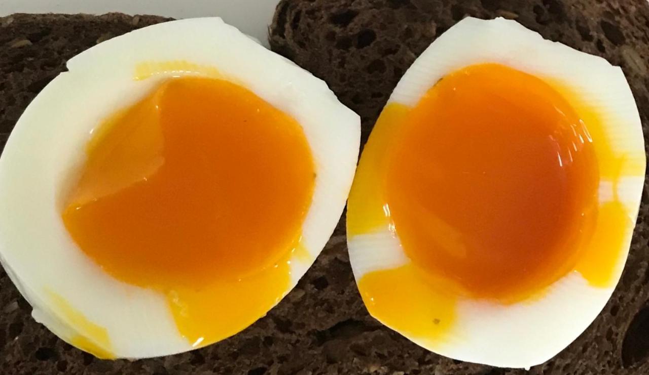 Bed and Breakfast Hemeltjelief Bij Caro Ezinge Exteriér fotografie